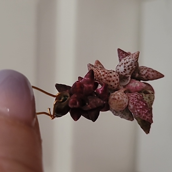 Handcrafted Shell drop earrings - Picture 4 of 5